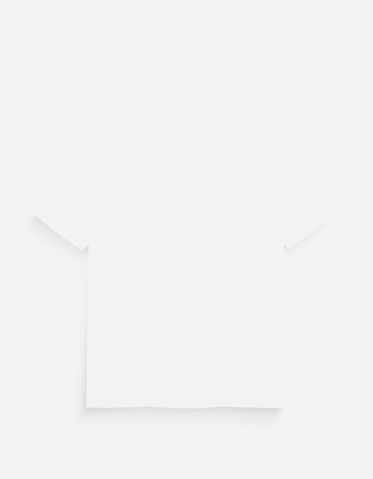 Back_2_c_1.jpg